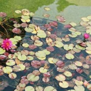 16x20" canvas film photo